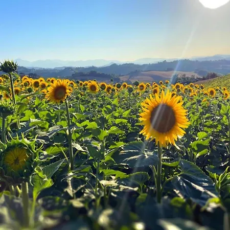 Casa vacanze In Sant'angelo Near Medieval Town *